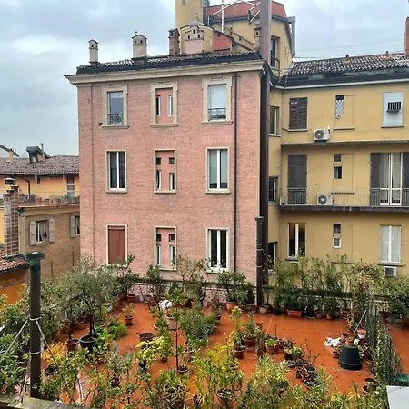 Le Dell'edera